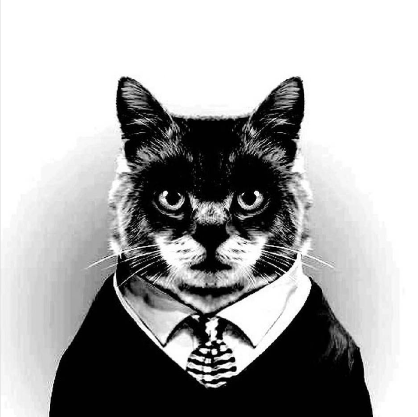 灰色圈笔记团队副业投稿须知 希望想投稿读者认真看完